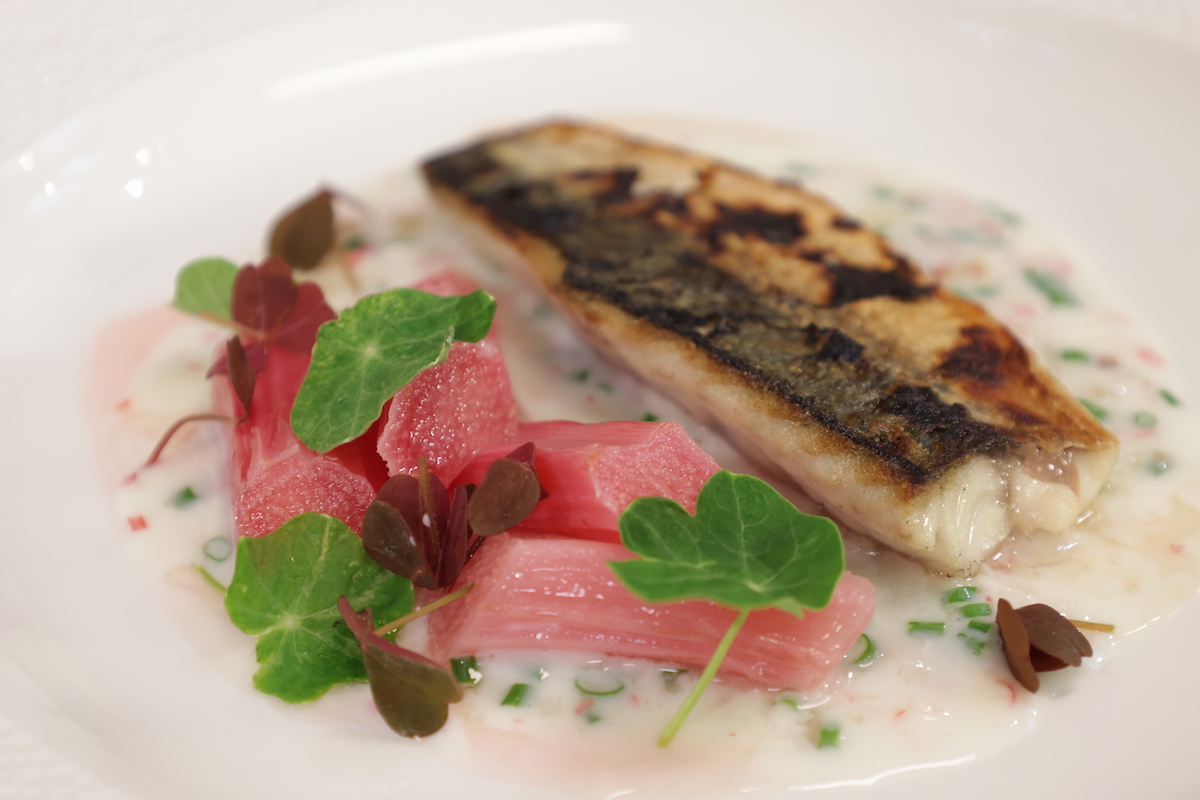 Mackerel Fillets with Yorkshire Rhubarb and Pink Peppercorns
